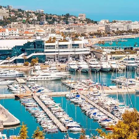 Aprt Festival Arnese Daire Cannes