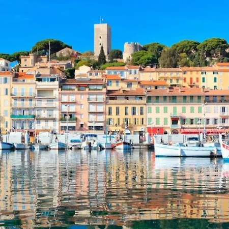 Aprt Festival Arnese *