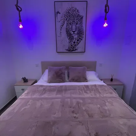 Aprt Festival Arnese Cannes