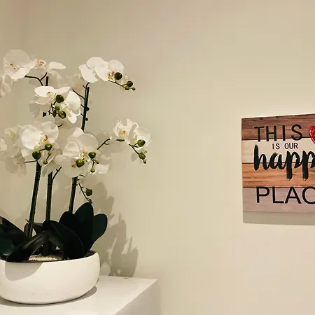 Aprt Festival Arnese