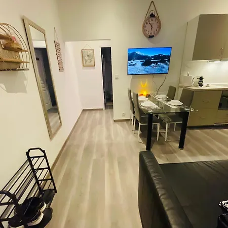 Aprt Festival Arnese *